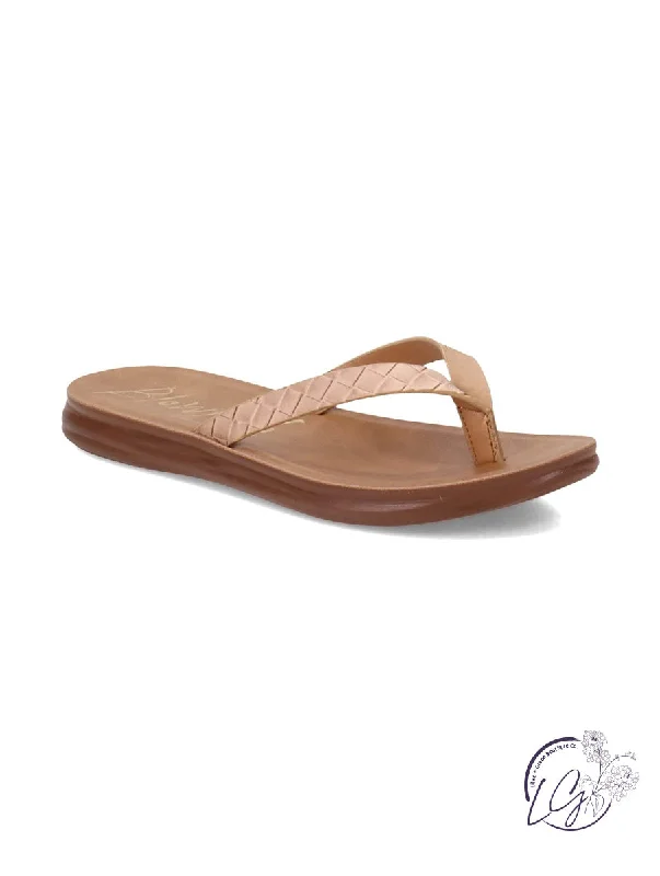 Taupe / 7
