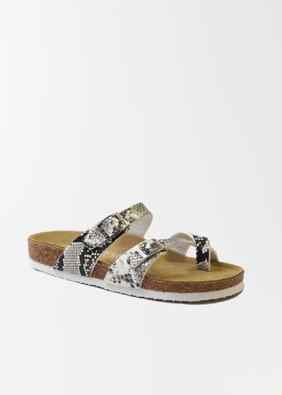 Snake Print / 5/36