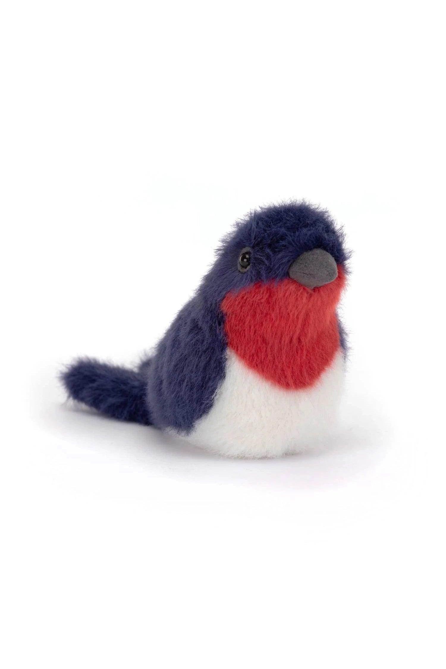 Birdling Swallow