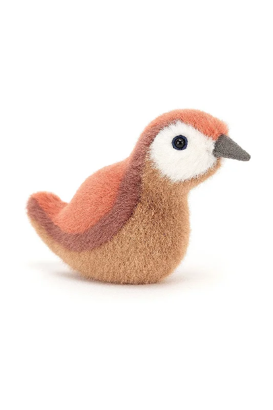 Birdling Wren