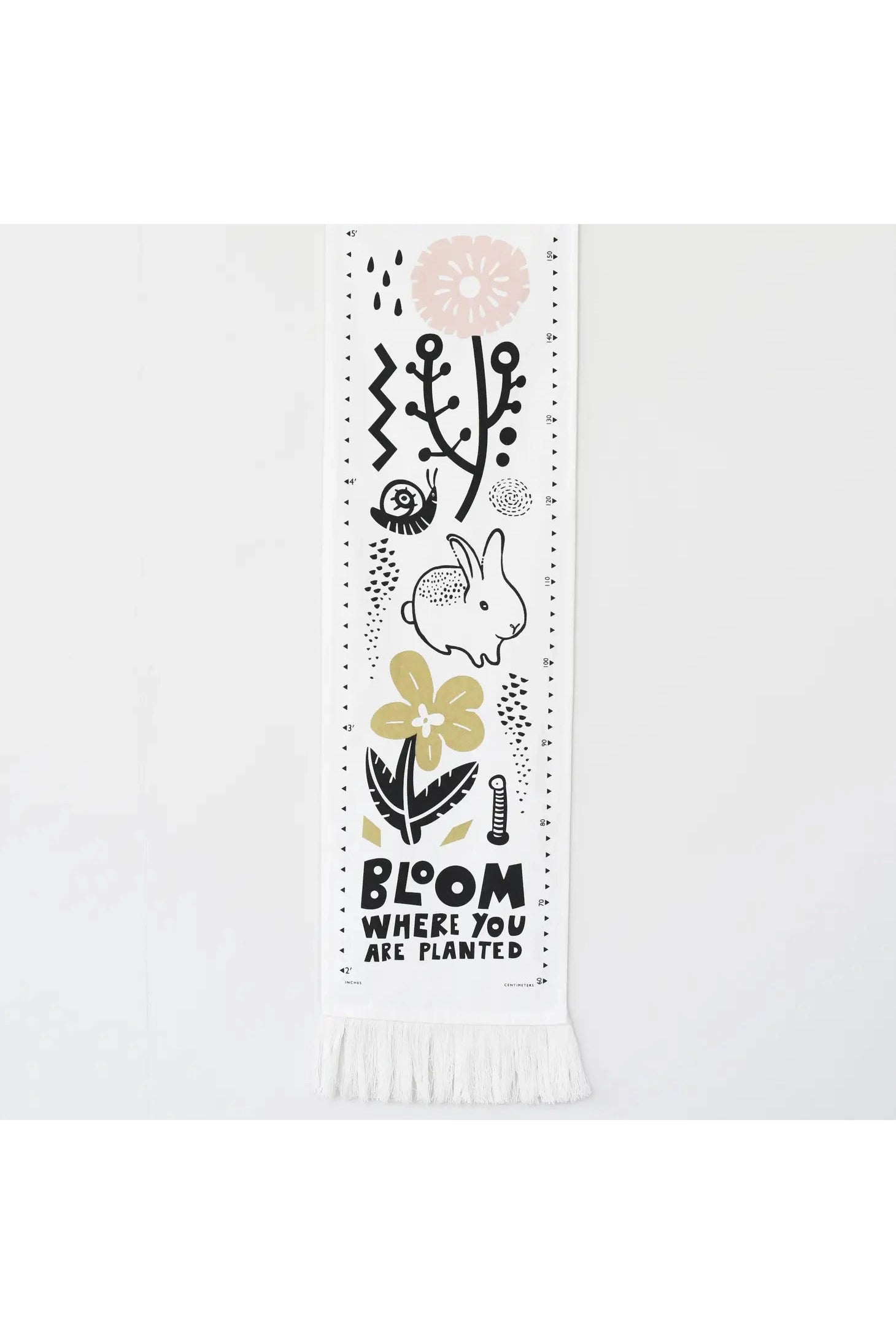 Bloom Canvas Growth Chart