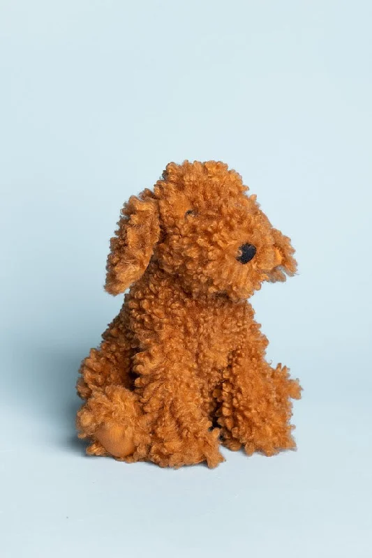 Cooper Labradoodle Pup