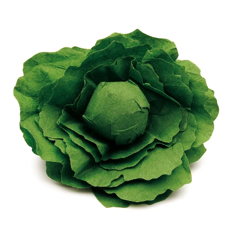 Erzi lettuce