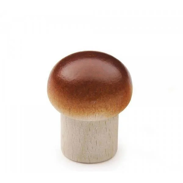Erzi mushroom