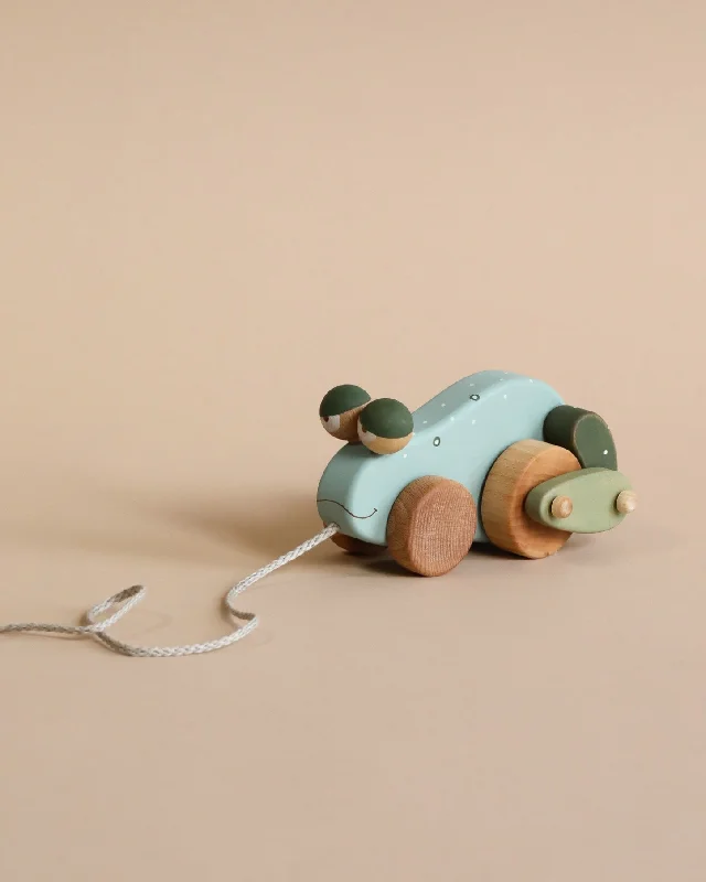 Handmade Pull Along Frog Toy