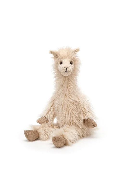 Luis Llama