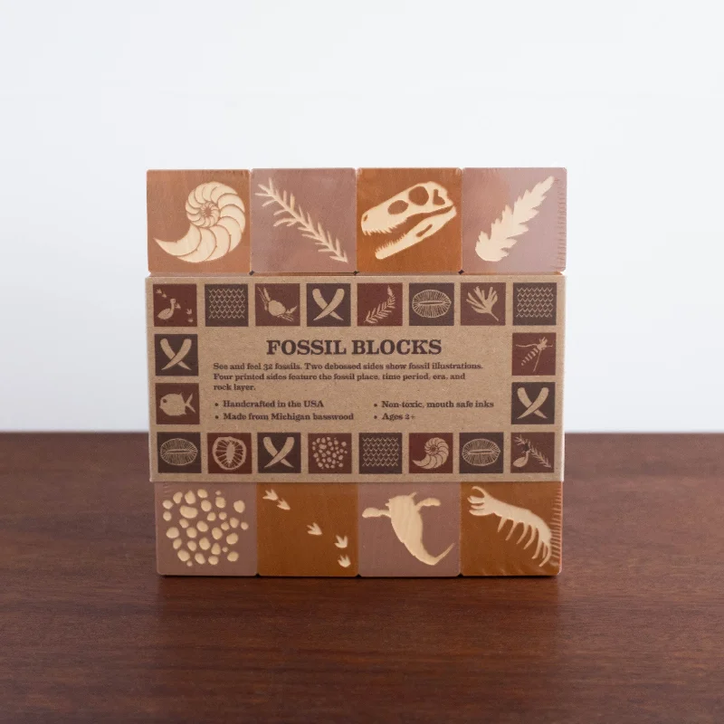 NEW Fossil Blocks