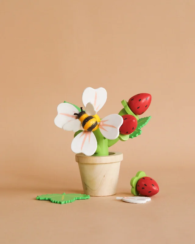 Strawberry Flower Pot