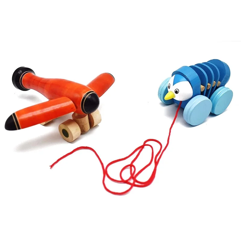 Pull Along Toy Wooden - Caterpillar & Aero plane